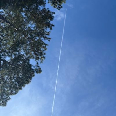 Xacct135's profile picture. 