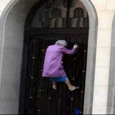 ellecicale's profile picture. 