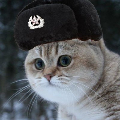 VSalamov51528's profile picture. перед Законом равны ВСЕ!