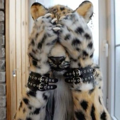 u7wvvu's profile picture. 