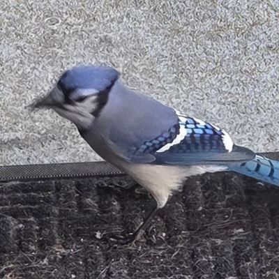 @harryt59_harry