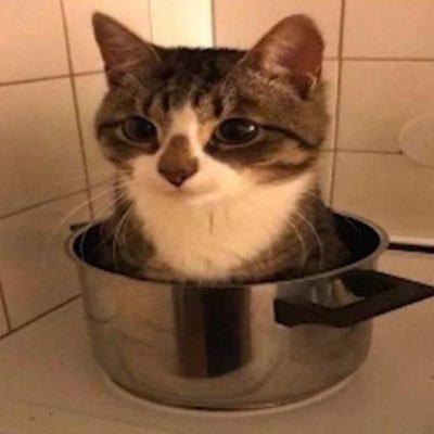 syny709's profile picture. 