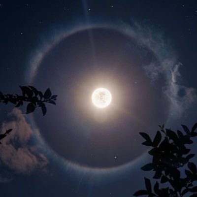 amyezzalarab's profile picture. Artist and Writer. 🍉