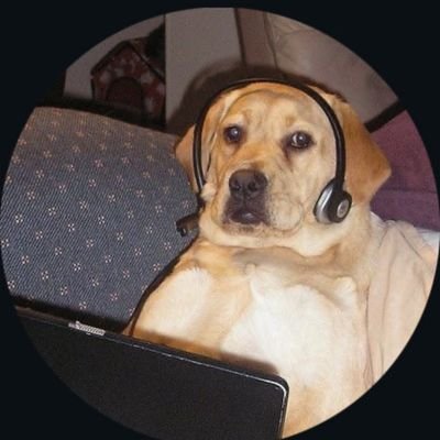 kaushik_akshit's profile picture. Yeah, I am sarcastic too...
¯\_(ツ)_/¯
.
Proud Indian🇮🇳🇮🇳
#try_to_see_good_things😊😊