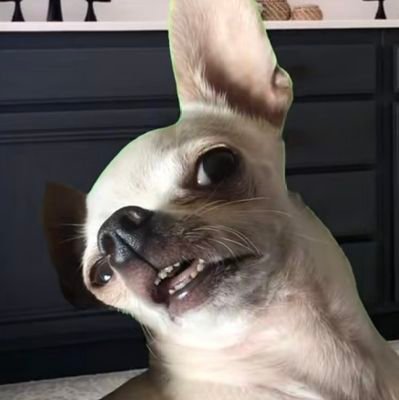 2TywooE's profile picture. just a reply guy