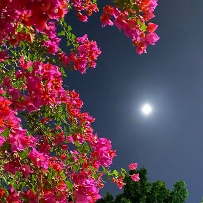 Sannayy_'s profile picture. A vessel of love ♡