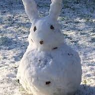 HAFIK26's profile picture. 