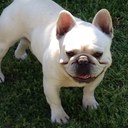 Paula Slape - @PaulaSlape - Twitter