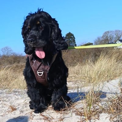 cctsai100's profile picture. 