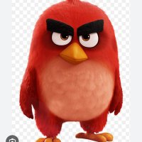 Angry man (@msikarwar916) 's Twitter Profile