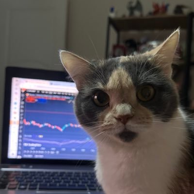 Naimesu 🌊RIVER Profile