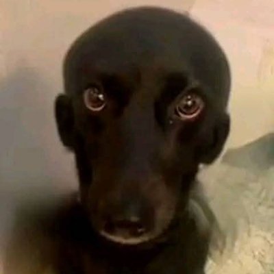 DamYsrel's profile picture. 