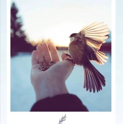 Haypaguz's profile picture.