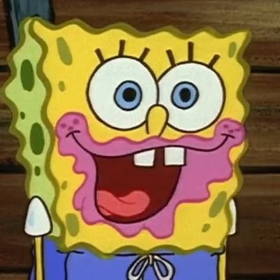 @spongyarts