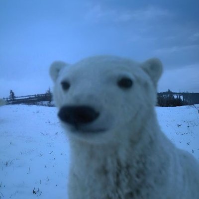 master0Fanal's profile picture. 