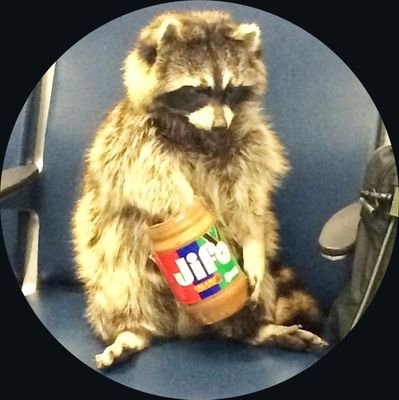 bigironpillows's profile picture. 