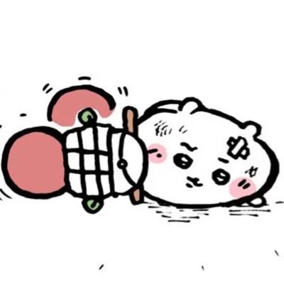 media_crr's profile picture. 隠遁