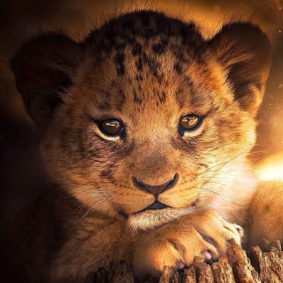 triplephd's profile picture. Doing the right thing is not the problem. Knowing what the right thing is, that's the challenge.