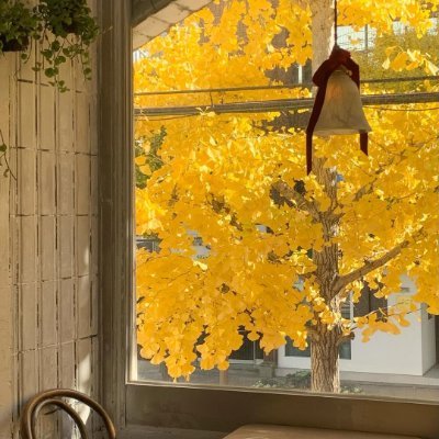 LiLasasda's profile picture. カンクンを離れても、あの海の青さはずっと後を追いかけてくるみたいだ。🥰
心が落ち着く日を大切にします。
旅行、音楽、そしてコーヒーです。🍁🍁