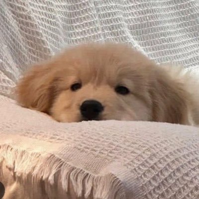 uonww's profile picture. ☆ ★ 𓈒 peep peep יִ 🚎💨 รับแลกวงเงิน 07:00 - 23:00