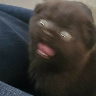 iKneaku's profile picture.
