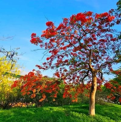 YouMr61616's profile picture. (王忠 💕💕) lovely and caring ..Just want a better life