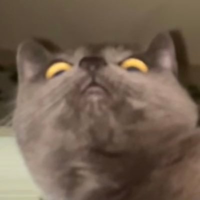 djosglizzy's profile picture. pedro pascal thinks i’m hot (in cai)                og kevin girl