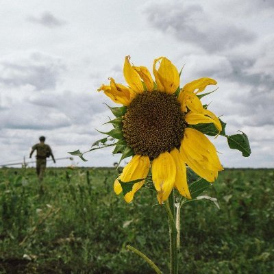 Dave929509's profile picture. 