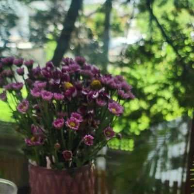 sapai_y's profile picture. My heart beats non-stop