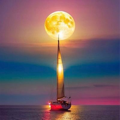 Sacha2087965's profile picture. 