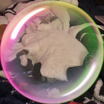 itsjordannh's profile picture. Former baby