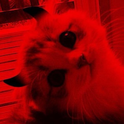_gridzz's profile picture.