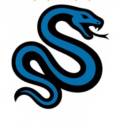 nerazzurri_it's profile picture. #fcim | Inter social | everything about the world of the Nerazzurri: stay here ⬛️🟦 on @onorioferraro