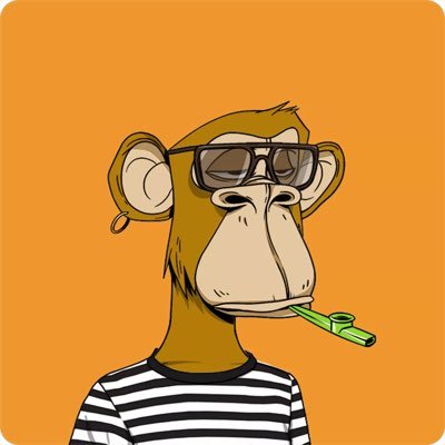 BoLara_eth's profile picture. Father of Two + ½ Founder of Q8alpha Crypto since 2020 - Retiring in 2025