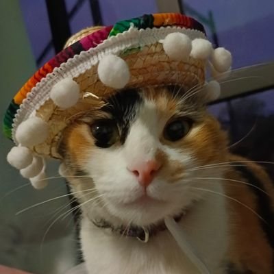 P4eddynu1t's profile picture. || 𝟚𝟙 ||
- ʜᴀɪɪ ɢᴜʏꜱ!
- ᴅᴀɴᴅʏ´ꜱ ᴡᴏʀʟᴅ
- ᴛᴏᴛᴀʟʟʏ ᴍᴜʟᴛɪꜰᴀɴᴅᴏᴍ❗
- ᴇꜱᴘ/ᴇɴɢ️
- ᴅɴɪ ᴡɪᴛʜ ᴀɴʏ ᴋɪɴᴅ ᴏꜰ ᴘʀᴏʙʟᴇᴍᴀᴛɪᴄ ᴘᴇᴏᴘʟᴇ.