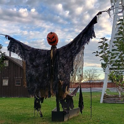 dmm316's profile picture. I am a wife & mom. I ♥️ MST3K, Murder, She Wrote & the Monkees. I live tweet Svengoolie on Saturday. Hardcore Democrat.💙 Love is love 🏳️🌈🏳️⚧️