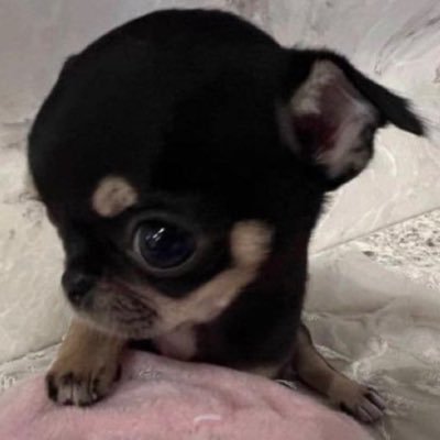 MILFYPEN's profile picture. salvadoreña