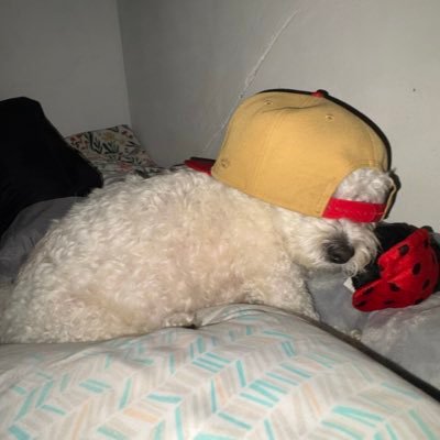 Recxfv's profile picture. 19 | Fortnite for @SevenFoldMedia