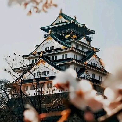 KawtharA17334's profile picture. Living life one sarcastic quip at a time,
Classy with a hint of savage.