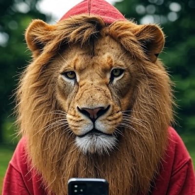 Lion2Ya's profile picture. 29 yr political activist, humorist, robotheist. 2026 Michigan: Swanson (D) or Cox (R) for Gov, El-Sayed (D) for Senate. @rankmivote volunteer 🇺🇸🏳️🌈🇮🇱🇺🇦