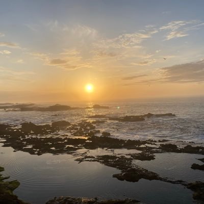 baksixd's profile picture. 17