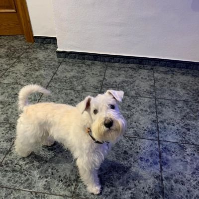 eduginer1996's profile picture.