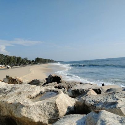 TitanTesta's profile picture. 