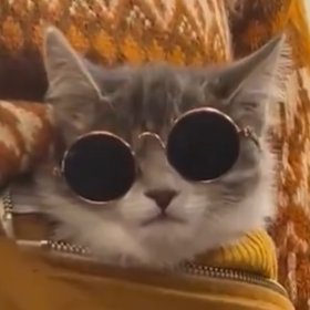 ETHPHow's profile picture. I have funded myself and my company since earning my PhD. I may hire people in the future if the workload exceeds AI's capacity.