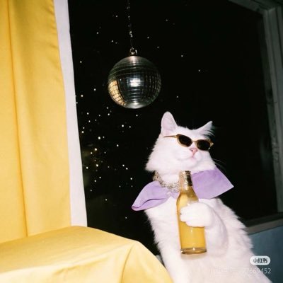 onlywithivy's profile picture. new here 💞