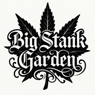 bigstank85's profile picture. “The only way up, is the way down”