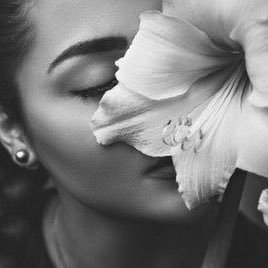 __brightstar's profile picture. There comes a time in every person's life when they realise they adore me. Yours has come! https://t.co/iwdXPKzz8o