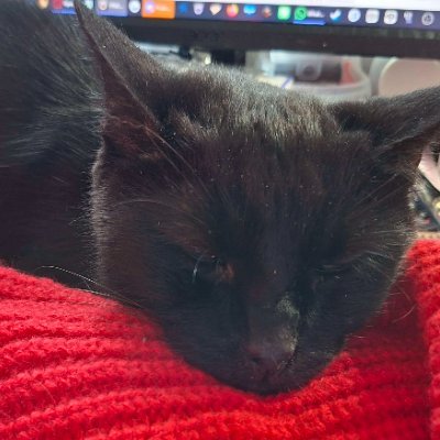 HealthGoneAfk's profile picture. 40+ || Ace || Health Based Account || hEDS Sufferer.

#EDS #Neuropathy