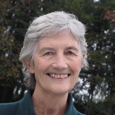 catherinegalway's profile picture. Vótáil #1 Catherine Connolly, Friday 24 October |
Independent TD for Galway West and Independent Presidential Candidate