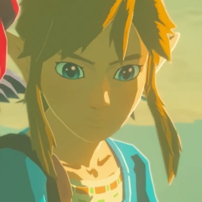 squidofthewild's profile picture. zeldatwt • splatwt🗿pop brainrot and other thoughts. runs @cursedzeldatwt backup @zonaizelda he/him